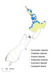 Ptisana salicina distribution map based on databased records at AK, CHR, NZFRI, WAIK and WELT.
 Image: K. Boardman © Landcare Research 2014 